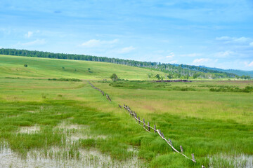 Green meadows of the Trans-Baikal Territory in Russia against a blue sky with clouds.