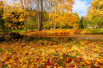 Autumn foliage in Catherine park, Pushkin, Saint Petersburg, Russia