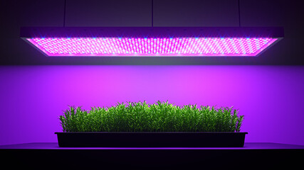 Green rosemary plant under LED grow light. 3d illustration
