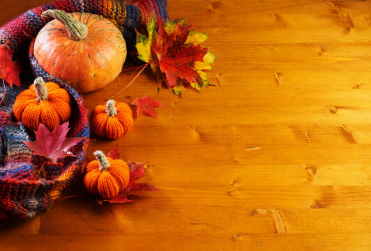 Thanksgiving day background, ripe pumpkin and small knitted pumpkins lie on a warm autumn scarf , wooden background and copy space