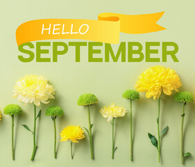 Text HELLO SEPTEMBER ad beautiful autumn chrysanthemum flowers on light green background
