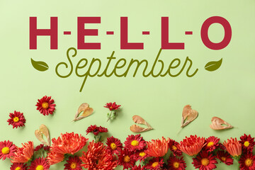 Text HELLO SEPTEMBER ad beautiful autumn composition on light green background