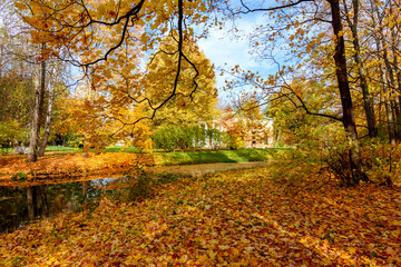 Autumn foliage in Catherine park, Pushkin (Tsarskoe Selo), Saint Petersburg, Russia