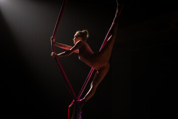 Slender circus acrobat performing gymnastic tricks at height. Aerial female equilibrist...