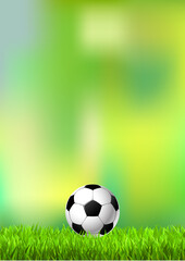 Fototapeta premium Fussball 2022