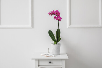 Beautiful orchid flower and tray with jewelry on table near white wall