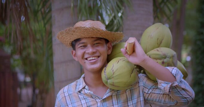 A slow motion happy smiling young Asian farmer carry coconut bunch whose fragrant water and soft flesh are perfect to sell as a beverage or called coconut with a flagrant juice.
