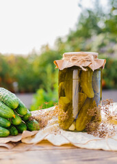 Salted, pickled cucumbers in a jar on a wooden table in the garden. Cucumbers, herbs, dill, garlic. Preservation, conservation. Background, copy space. Sunny bright day.