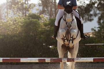 Sport horse jumping over a barrier on a obstacle course, rider in uniform performing jump at show...