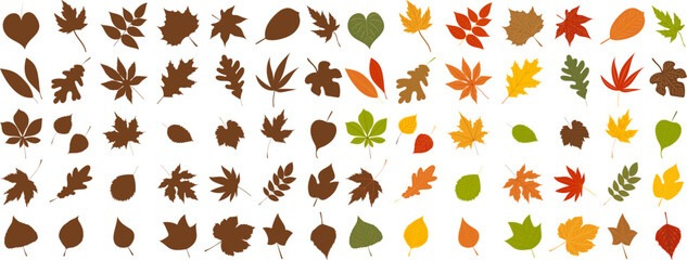 black silhouette set of autumn leaves isolated, vector