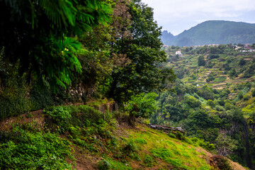 Madeira - Levada do Castelejo