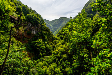 Madeira - Levada do Castelejo