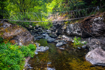 Madeira - Levada do Castelejo