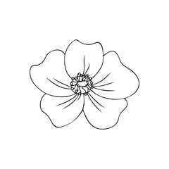 Wild rose, briar, hand drawn dogrose vector illustration isolated on white background, decorative rosehip black outline element for design cosmetic, natural medicine, herbal tea, health organic food