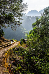 Madeira - Levada do Castelejo