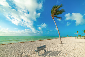 Bench and palm trees in Sombrero beach