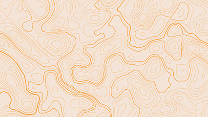 The stylized height of the topographic contour in lines and contours. The concept of a conditional geography scheme and the terrain path. Vector illustration.