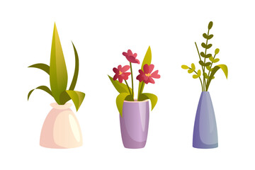 Interior decoration for home or office, isolated houseplant and flowers in blossom. Blooming flora botany in vases. Minimalist adornment for apartment. Vector in flat style
