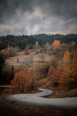 amazing road view in autumn season.turkey