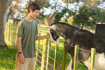 kids feeding a goat on green grass in a farmyard or on a lawn, countryside or village environment, contact zoo or wildlife enclose