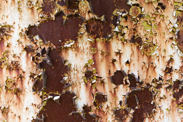 Peeling paint on a rusty background