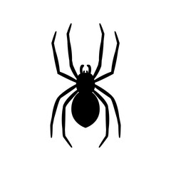 silhouette of a spider hanging from a web Abandoned House Horror Ideas for Halloween