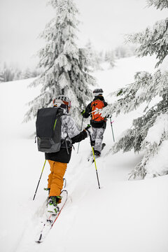 back view of two guys skiers with backpacks walking on ski. Ski touring.
