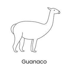 Guanaco is a line icon in a vector, an illustration of an animal.