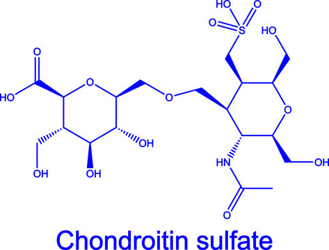 Chondroitin sulfate molecule supplement. Chondroitin blue chemical formula