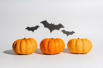 Fresh ripe orange pumpkin on white background. Space with bats Halloween concept