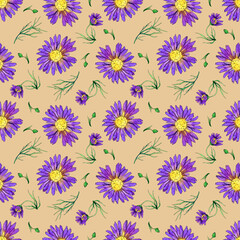 seamless watercolor pattern with aster flowers and buds on a colored background.