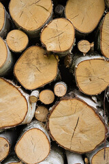 Fototapeta premium stack of wood
