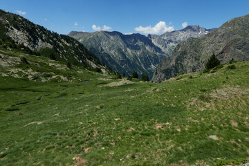 Pyrenean meadow in the mountains
