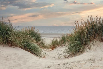 Fotobehang Duinen sand dunes and grass on beach  © Olga