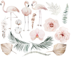Watercolor set with flamingo birds, dried leaves and tropical flowers illustration isolated elements