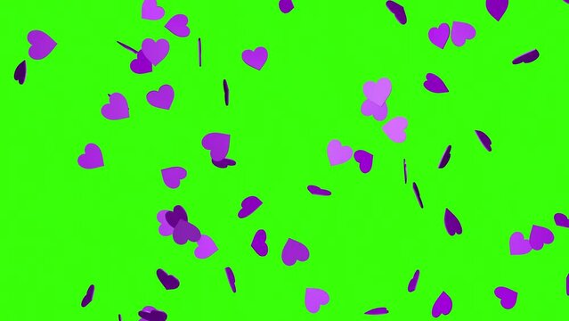 Falling purple hearts on a chroma key background. 3D animation. Video effect for valentine's day and weddings. Green screen. Rain from hearts.