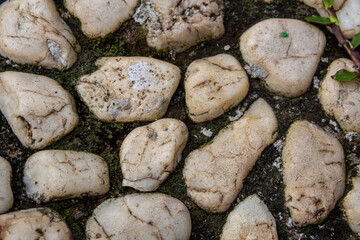 selective focus texture of white stones or rocks on the streets as footpath in the park