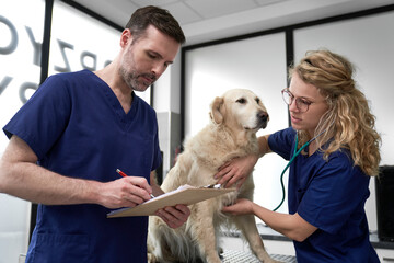 Two caucasian doctors analyzing medical result of dog