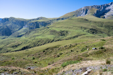 Fototapeta na wymiar Landscape of col du soulor in the pyrenees in france
