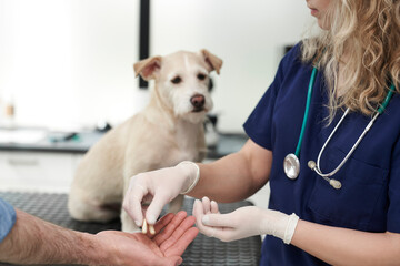 Female doctor giving medical pills for dog