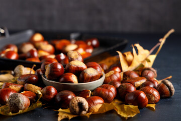 a chestnut harvest.