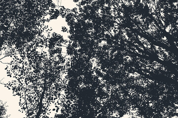 Silhouettes of big trees in the park. vector illustration	