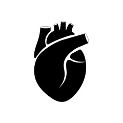Vector Contours of the human heart in black and white.