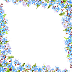 Forget-me-not flowers frame, hand drawn watercolor illustration isolated on white