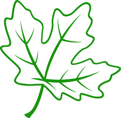 Green viburnum leaf isolated icon