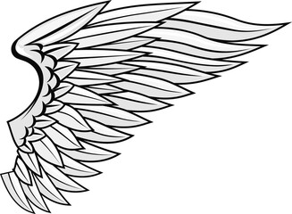 Falcon or eagle wing, symbol of freedom