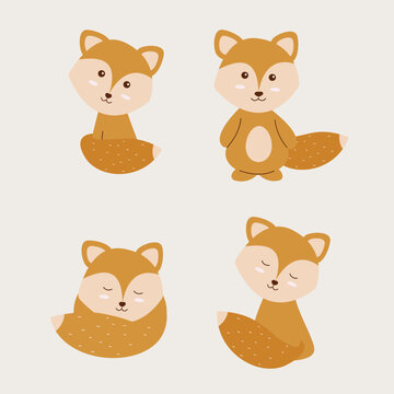 Boho fox character set. Vector illustration.