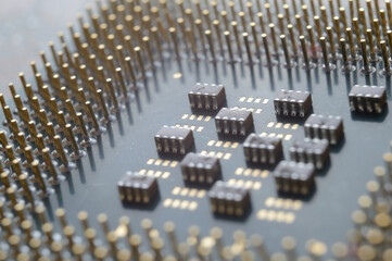 the microprocessor from the computer lies with its paws up. close-up