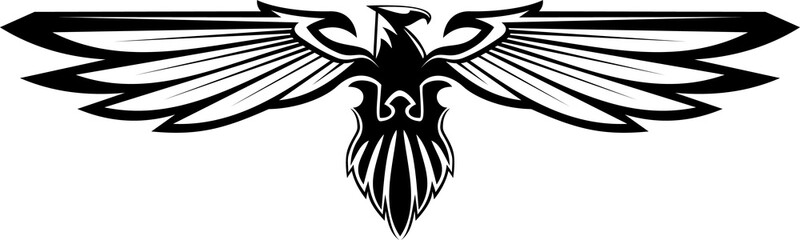 Hawk with long wings isolated bird