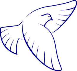 Pigeon bird isolated holy dove